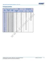 ESC108M035AL4AA Datasheet Page 17