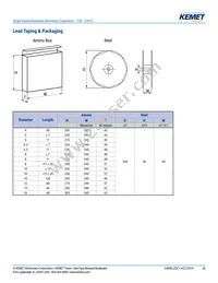 ESC108M035AL4AA Datasheet Page 20