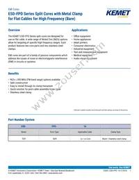 ESD-FPD-34 Cover