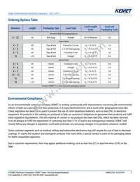 ESG106M400AH4AA Datasheet Page 2