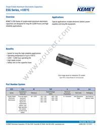 ESG336M450AM2AA Datasheet Cover