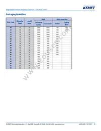 ESG336M450AM2AA Datasheet Page 15