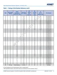 ESH108M050AM7AA Datasheet Page 8