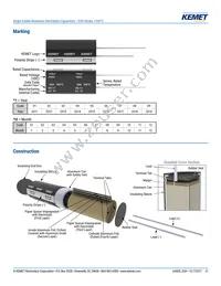 ESH108M050AM7AA Datasheet Page 21