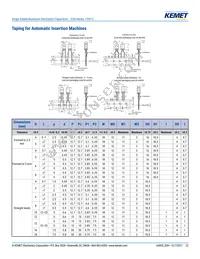 ESH108M050AM7AA Datasheet Page 22