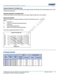 ESS106M063AE2EA Datasheet Page 12