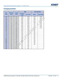 EST108M035AL4AA Datasheet Page 16