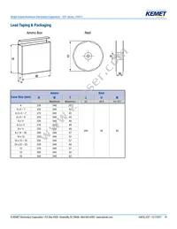 EST108M035AL4AA Datasheet Page 19