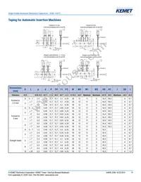 ESW108M063AM3AA Datasheet Page 19