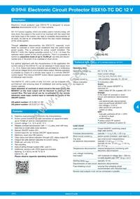 ESX10-TC-114-DC12V-10A-E Datasheet Cover