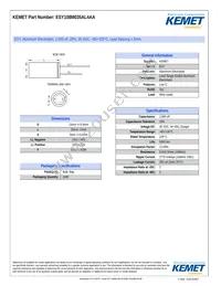 ESY108M035AL4AA Cover