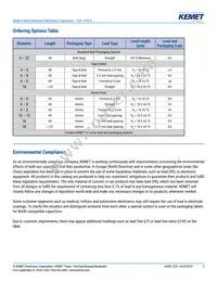 ESY827M025AH5AA Datasheet Page 2