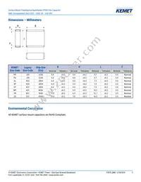 F115PL104J050V Datasheet Page 3