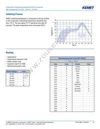 F115PL104J050V Datasheet Page 10