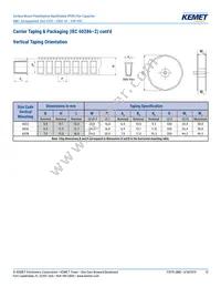 F115PL104J050V Datasheet Page 13