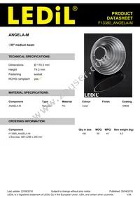 F13380_ANGELA-M Datasheet Cover