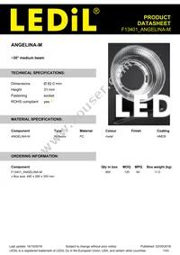 F13401_ANGELINA-M Datasheet Cover