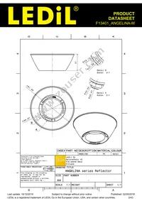 F13401_ANGELINA-M Datasheet Page 2