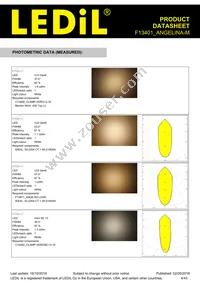 F13401_ANGELINA-M Datasheet Page 4