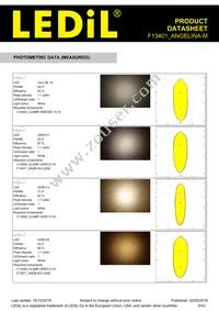 F13401_ANGELINA-M Datasheet Page 5