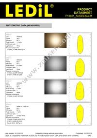 F13401_ANGELINA-M Datasheet Page 6