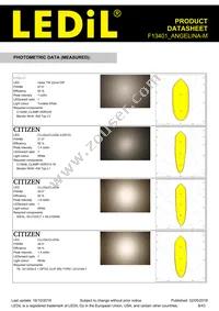 F13401_ANGELINA-M Datasheet Page 8