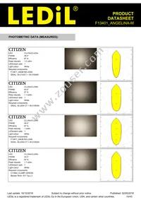 F13401_ANGELINA-M Datasheet Page 10