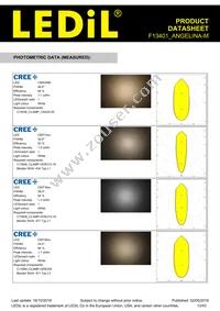 F13401_ANGELINA-M Datasheet Page 13