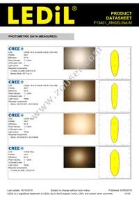 F13401_ANGELINA-M Datasheet Page 15