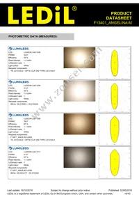 F13401_ANGELINA-M Datasheet Page 19