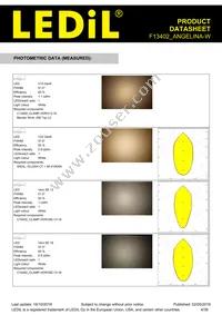 F13402_ANGELINA-W Datasheet Page 4