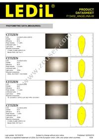 F13402_ANGELINA-W Datasheet Page 8