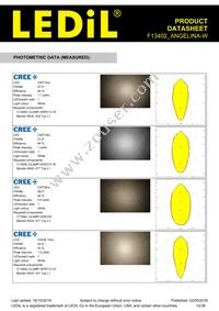 F13402_ANGELINA-W Datasheet Page 12