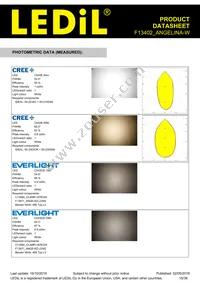 F13402_ANGELINA-W Datasheet Page 15