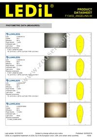 F13402_ANGELINA-W Datasheet Page 19