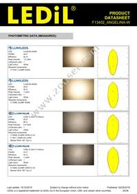 F13402_ANGELINA-W Datasheet Page 20