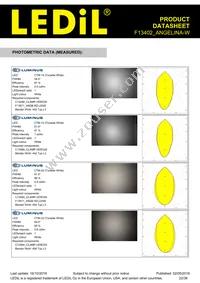 F13402_ANGELINA-W Datasheet Page 22