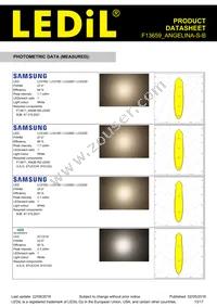 F13659_ANGELINA-S-B Datasheet Page 13