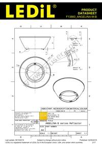 F13660_ANGELINA-M-B Datasheet Page 2