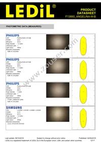 F13660_ANGELINA-M-B Datasheet Page 12