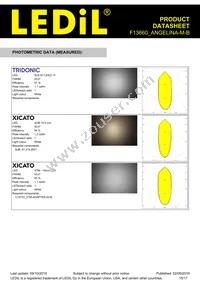 F13660_ANGELINA-M-B Datasheet Page 15