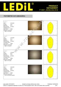 F13661_ANGELINA-W-B Datasheet Page 3