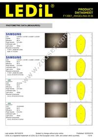 F13661_ANGELINA-W-B Datasheet Page 13