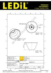 F13662_ANGELA-S-B Datasheet Page 2