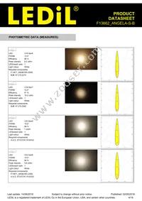 F13662_ANGELA-S-B Datasheet Page 4