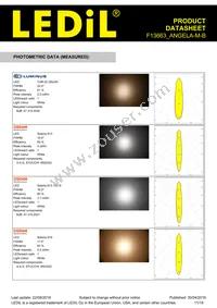 F13663_ANGELA-M-B Datasheet Page 11