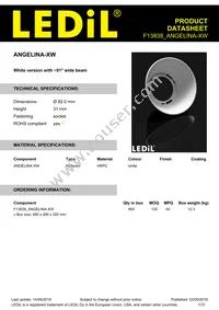 F13838_ANGELINA-XW Datasheet Cover