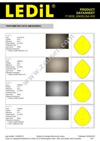 F13838_ANGELINA-XW Datasheet Page 4