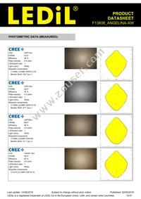 F13838_ANGELINA-XW Datasheet Page 10