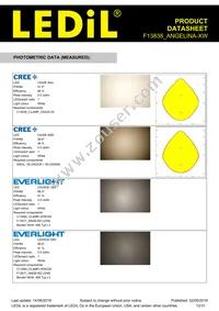 F13838_ANGELINA-XW Datasheet Page 12